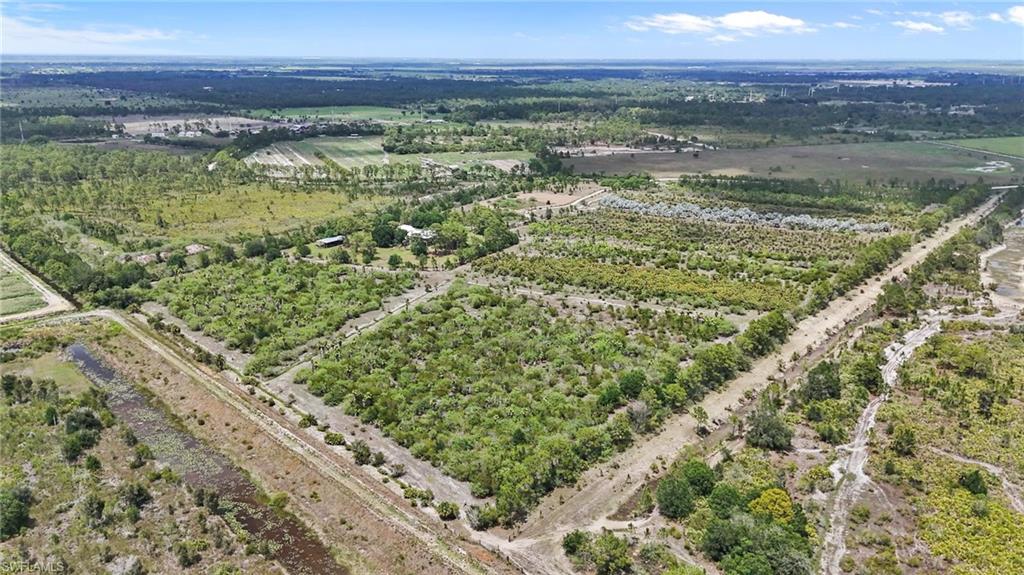 PIONEER PLANTATION - Land