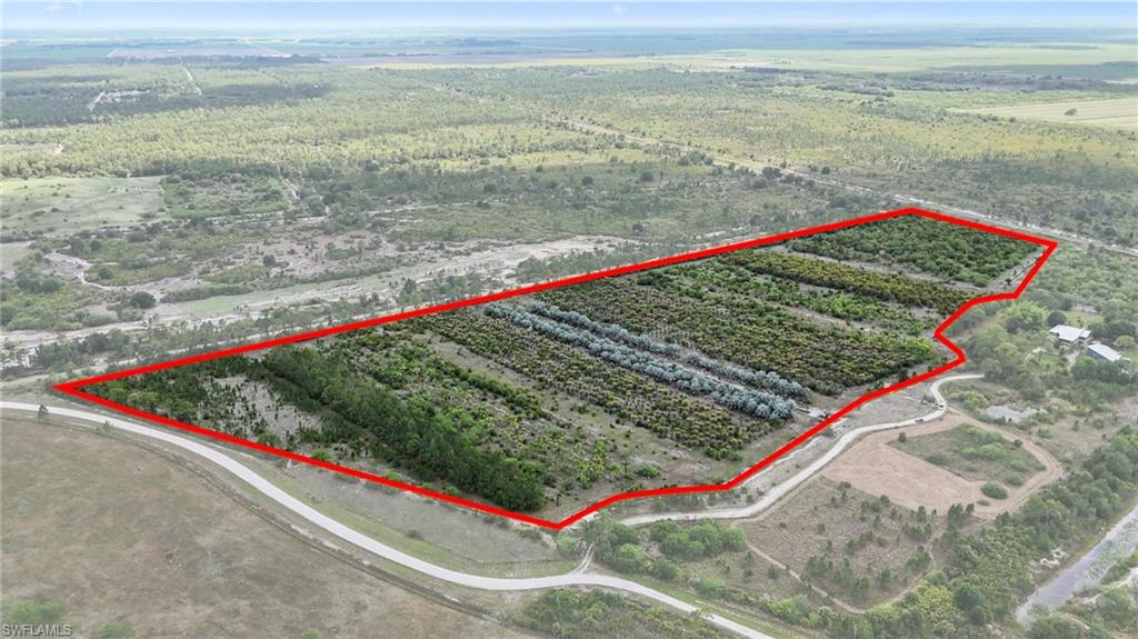 PIONEER PLANTATION - Land