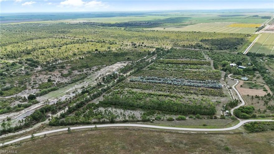 30 acre tree farm, also used for cattle grazing that is ready for a home site. Approximate Tree inventory includes:Loblolly Pines NATIVE (Pinus Taeda) - 215 - Queen plams (Syagrus romanzoffiana) - 50 - Pheonix Sylvestris Palms -768 Bismarckia nobilus pure silver - 271 - Excellent trees - huge and girthy!! Washingtonian - 50 with some real giants…Paurotis Palm CLUSTERS - Huge specimens - 455 - these may be some of the biggest available anywhere in Florida - perfect for landscaping by pools - they can bring $3,000 - $5,000 or more in some cases…less in others…Serious grwoer may improve the value of everytree. 16 acre Home site not included.