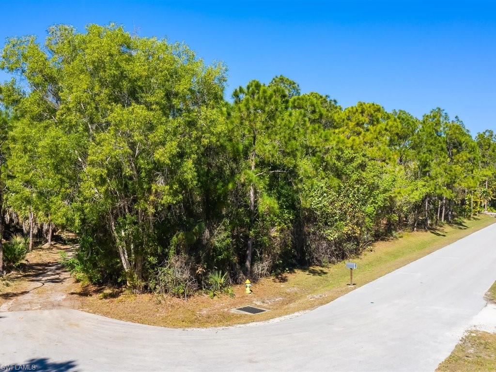 SAN CARLOS ESTATES - Land