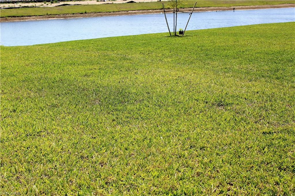 MAPLE RIDGE - Residential