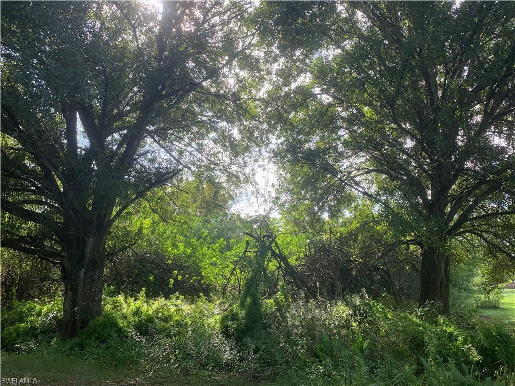 MONTURA RANCH ESTATES - Land