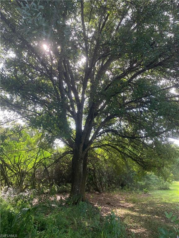 MONTURA RANCH ESTATES - Land