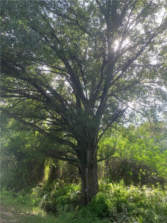 MONTURA RANCH ESTATES - Land