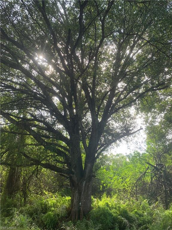 MONTURA RANCH ESTATES - Land