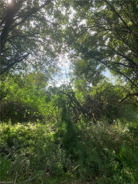 MONTURA RANCH ESTATES - Land