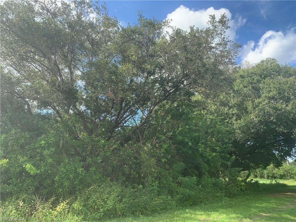 MONTURA RANCH ESTATES - Land