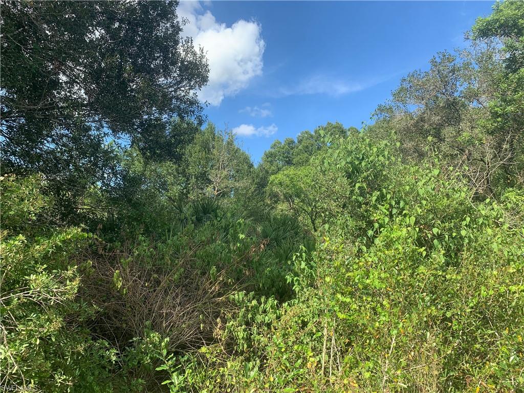 MONTURA RANCH ESTATES - Land