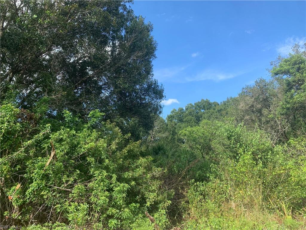 MONTURA RANCH ESTATES - Land