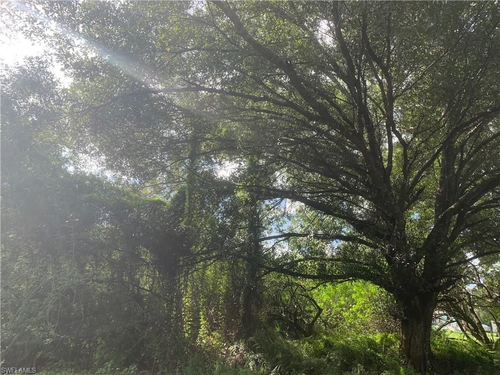 MONTURA RANCH ESTATES - Land