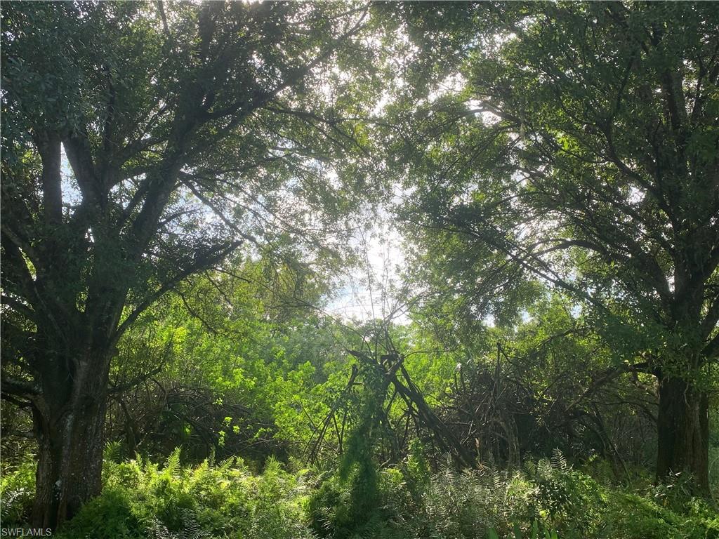 MONTURA RANCH ESTATES - Land