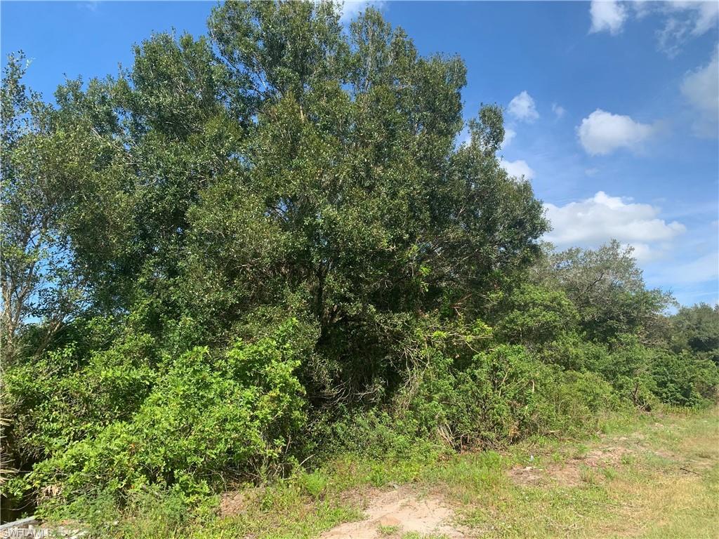 MONTURA RANCH ESTATES - Land