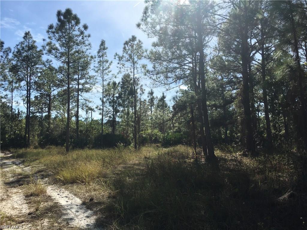 GOLDEN GATE ESTATES - Land