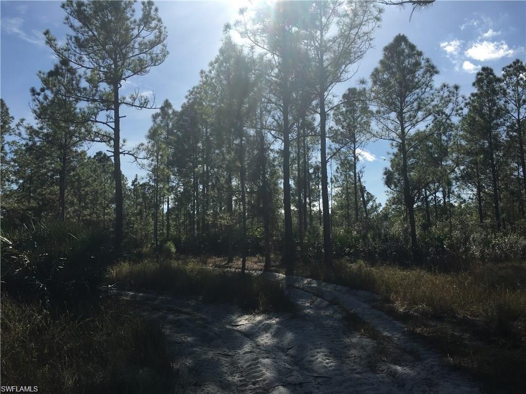 GOLDEN GATE ESTATES - Land