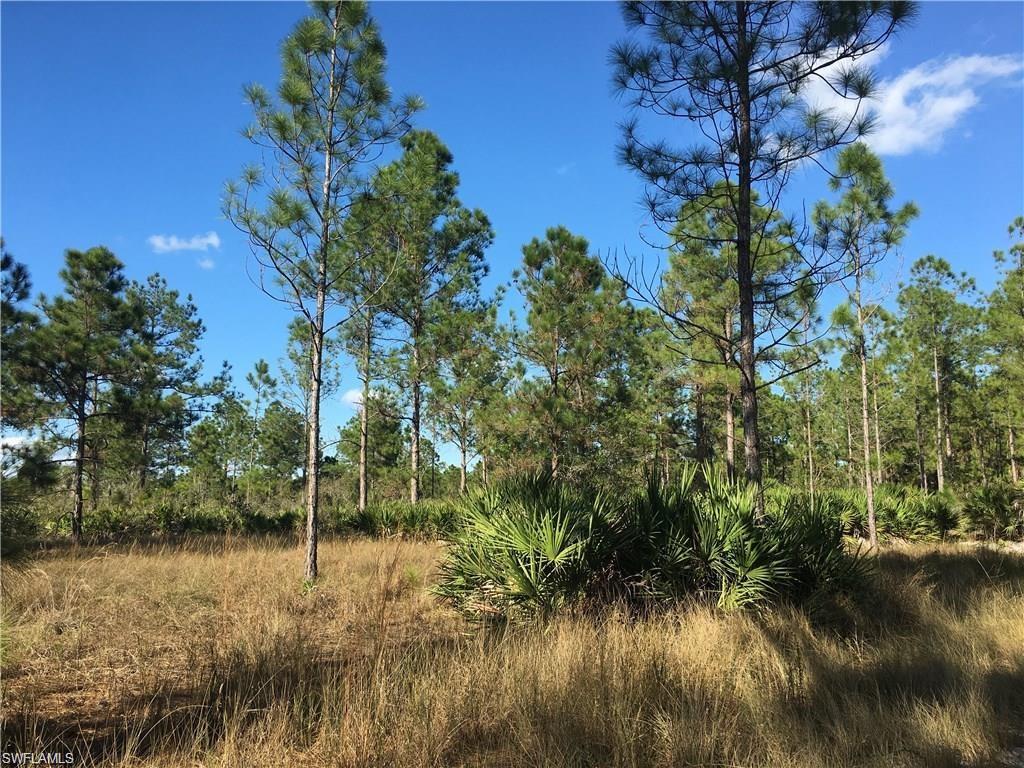 GOLDEN GATE ESTATES - Land