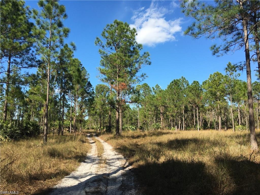 GOLDEN GATE ESTATES - Land