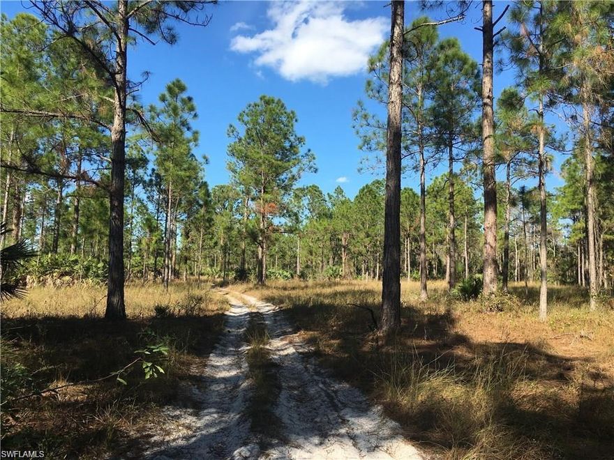 Truly and absolutely a beautiful piece of land, with trails and pine trees throughout. Some clear areas for easy construction. Don't miss this one!! Buyer to verify all information as the information stated has been acquired or provided by a third party.
