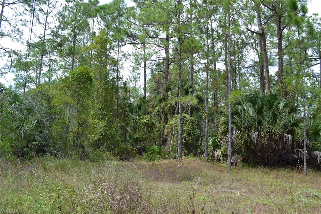 GOLDEN GATE ESTATES - Land