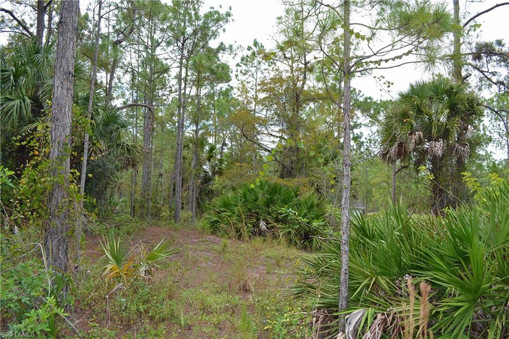 GOLDEN GATE ESTATES - Land