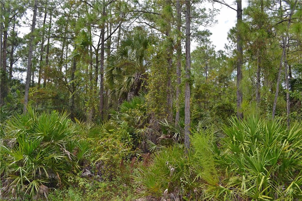 GOLDEN GATE ESTATES - Land