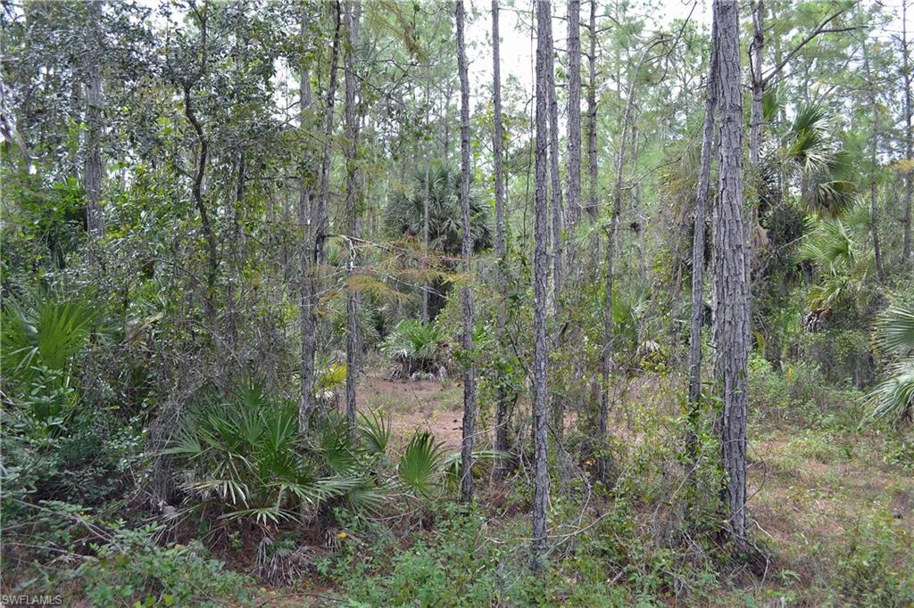 GOLDEN GATE ESTATES - Land