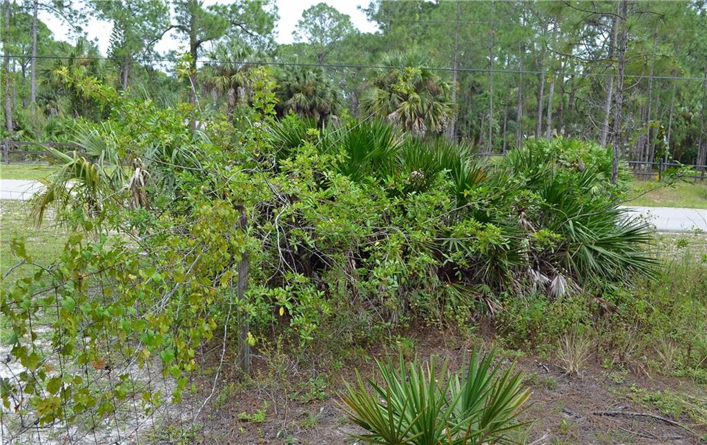 GOLDEN GATE ESTATES - Land