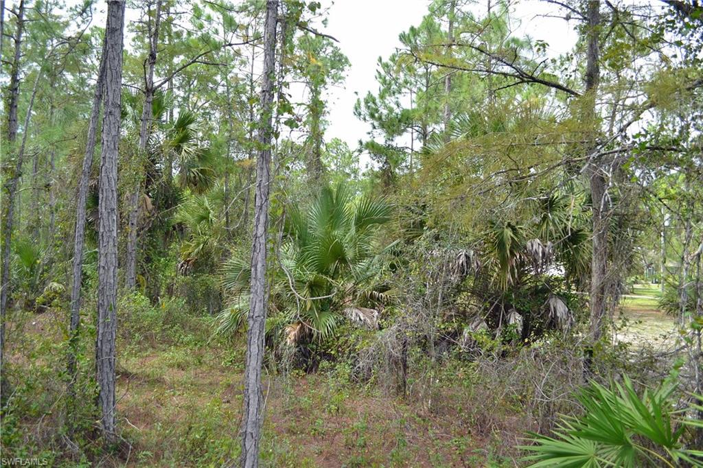 GOLDEN GATE ESTATES - Land