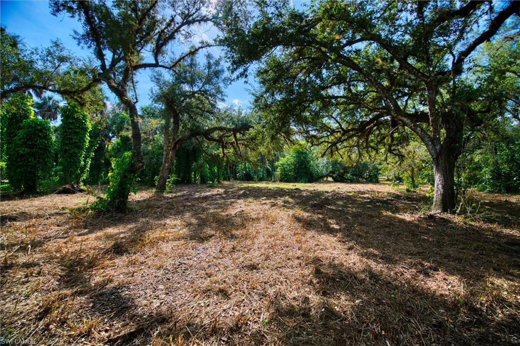 MACKABOY FARMS - Land