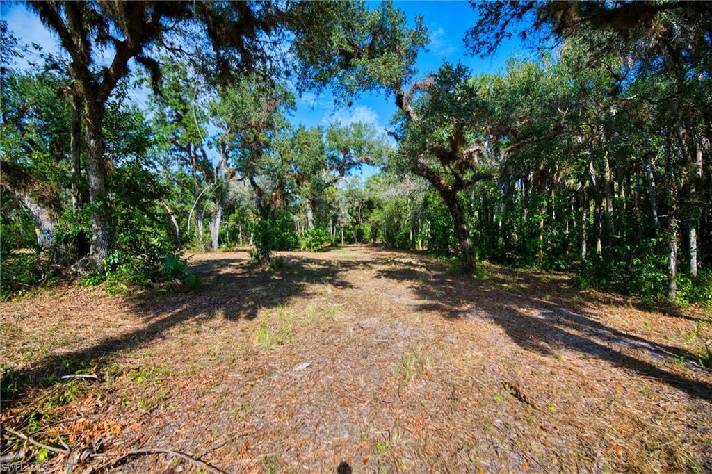 MACKABOY FARMS - Land