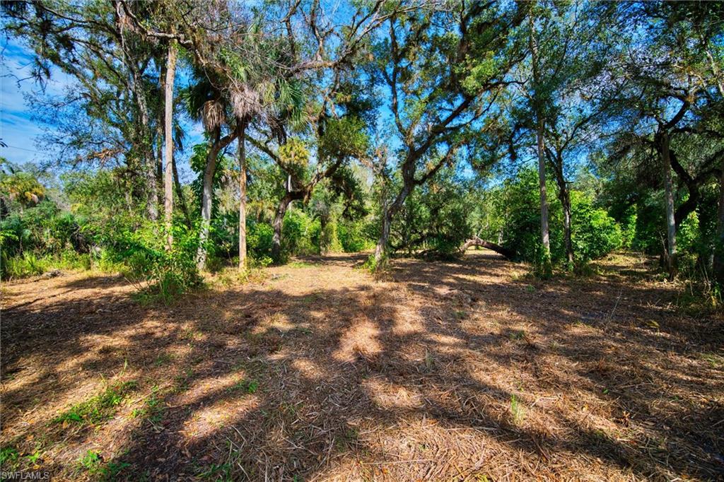 MACKABOY FARMS - Land