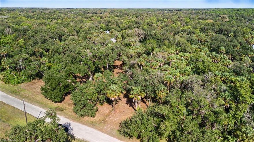 2.4± Acres — Riverfront Homesite on the Orange River (Buckingham).
Wake to golden morning light filtering through cathedral live oaks and the soft rustle of native palms. This rare, approximately 2.4-acre River Road parcel with direct river frontage is a blank canvas for a standout waterfront estate. Partially cleared and hugged by mature native landscaping, the site provides ample buildable area, clear sight lines and gentle topography while preserving that timeless Old-Florida charm. Imagine an elevated main residence with sweeping windows framing water views, a separate guest cottage for visiting family, and a resort-caliber pool and terrace flowing into expansive outdoor living rooms. Picture evening fireside gatherings, summer sunsets from your private dock, and low-key mornings launching kayaks, paddleboards or a jon boat straight from your backyard. Abundant birdlife, river vistas and long, unbroken sky deliver a sense of privacy and escape that’s hard to find so close to town. Tucked on a tranquil stretch in desirable Buckingham, this homesite balances true seclusion with convenient access to Fort Myers’ dining and services — ideal for a year-round sanctuary or a weekend refuge. Opportunities to secure waterfront parcels of this size and setting, as they say- are exceptionally rare.