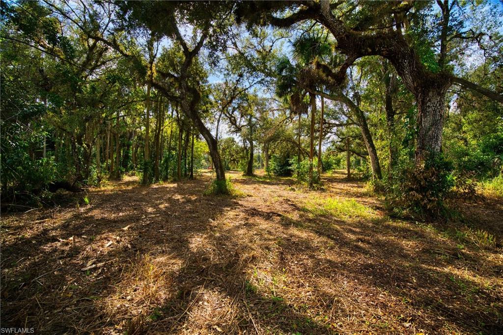 MACKABOY FARMS - Land