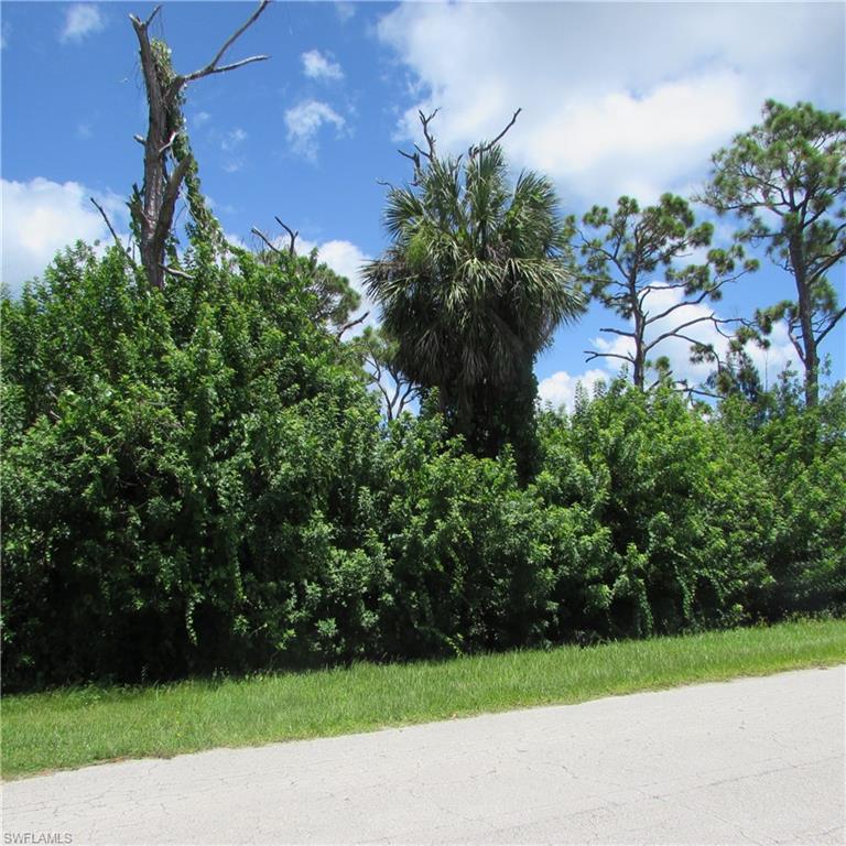 PINE ISLAND TROPICAL HOMESITES - Land