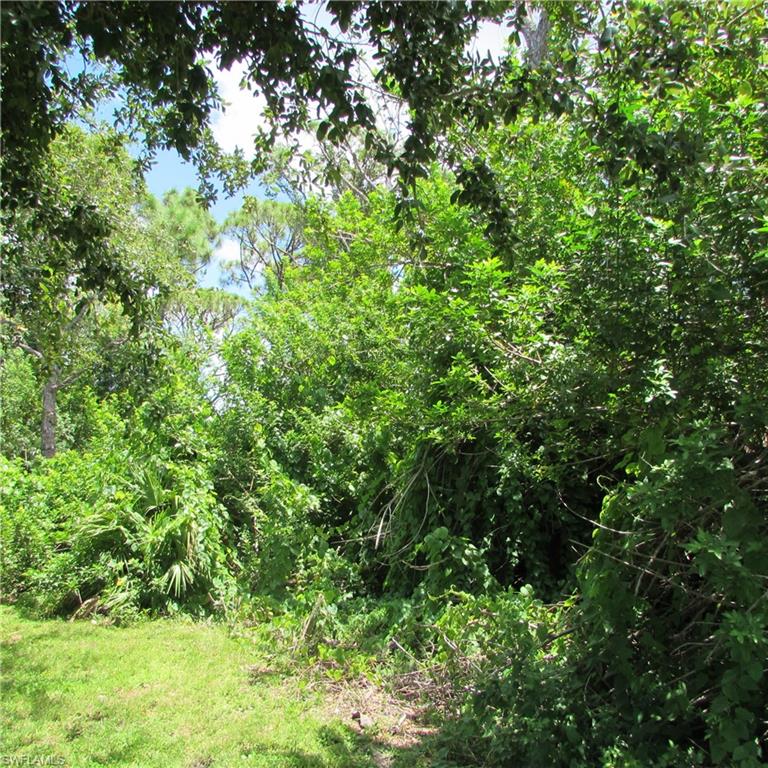 PINE ISLAND TROPICAL HOMESITES - Land