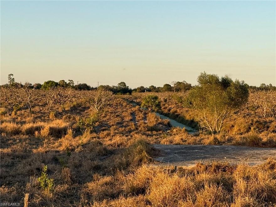 19.42+/- acres, partially cleared, fenced, and ready for a new life! Some older grove remains at the north end of the property, but can be easily cleared. Two cargo containers, plastic water tanks, and pumps convey with the sale. This property is zoned Ag-2, which allows for residential use. The canal at the north end of the property is available for irrigation and serves as a natural border to the property. Besides citrus, there are many small farms in the area growing row crops and tropical fruit (lychee, mango, dragon fruit, passion fruit, etc.). Approximately 1 hour from RSW, and 45 minutes from I-75  via SR 29 in Immokalee or SR 80 in Fort Myers. Property is in the Gerber Water District and subject to the Water District tax which is collected by the Hendry County Tax Collector and is used to maintain the roads, canals, and employ security. The roads are private and monitored by a security guard to prevent trespassing.
