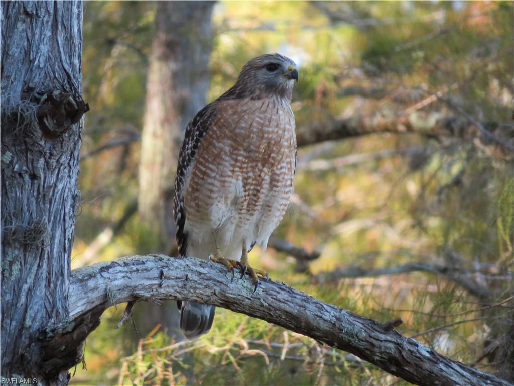 GARDEN LAKES - Residential