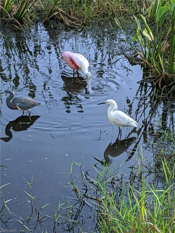 GARDEN LAKES - Residential