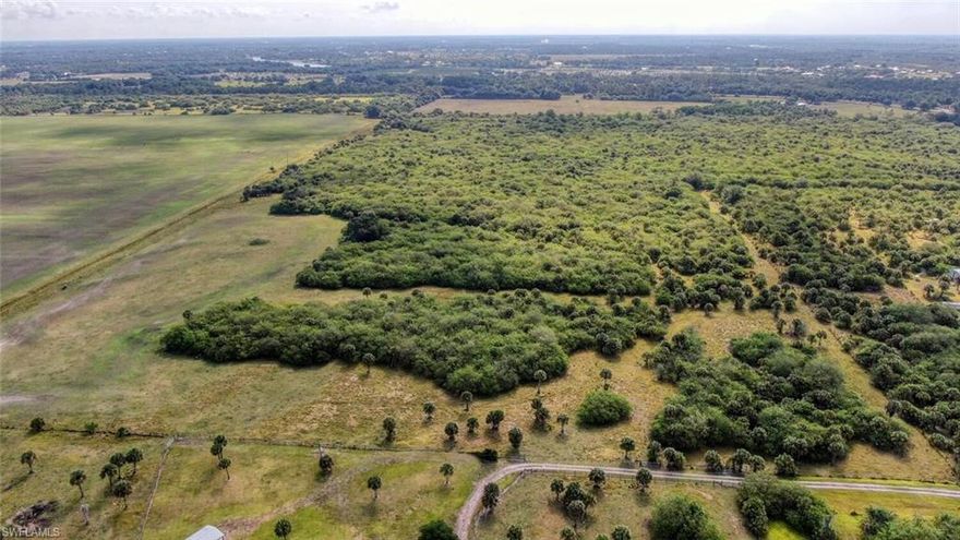 113+,- Acres with frontage on C.R. 78. The property is high and dry with elevations being 10-15 feet higher than normal property elevations and heavily wooded for your secluded acreage retreat! Very easy access to Lee county and is only about 1 mile over the Lee/Hendry county line. Looking for a development opportunity? The property can currently be divided into a minimum of 5 acre homesites or create larger acreage parcels. The western Hendry county plan offers an option of 1 home per acre with an approved development order. The property could possibly have the excess dirt extracted with a mining permit. There are 2 additional contiguous properties available that consist of a 267 acre parcel MLS # 222030490 and a home on 18 acres. This is an outstanding acreage value with countless possibilities! DO NOT ENTER PROPERTY WITHOUT AN APPOINTMENT.