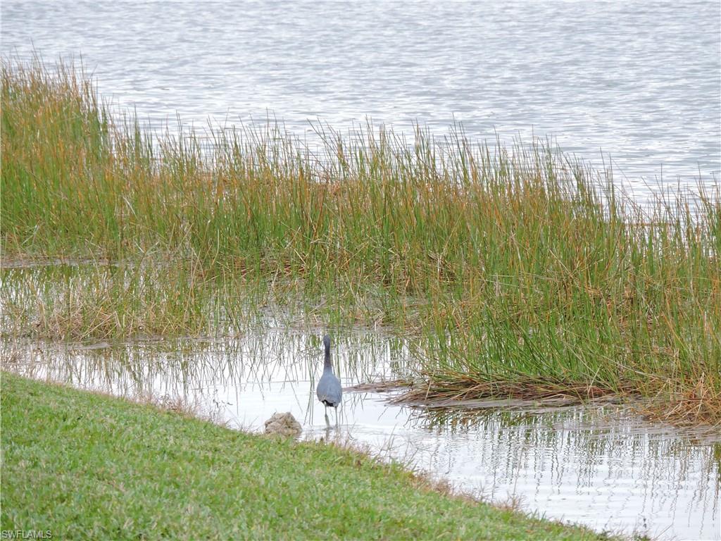 CYPRESS TRACE - Residential