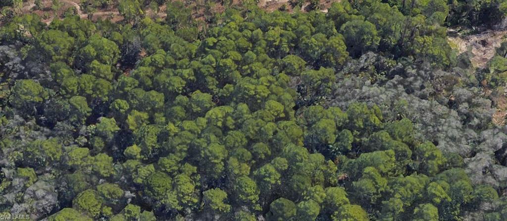 GOLDEN GATE ESTATES - Land