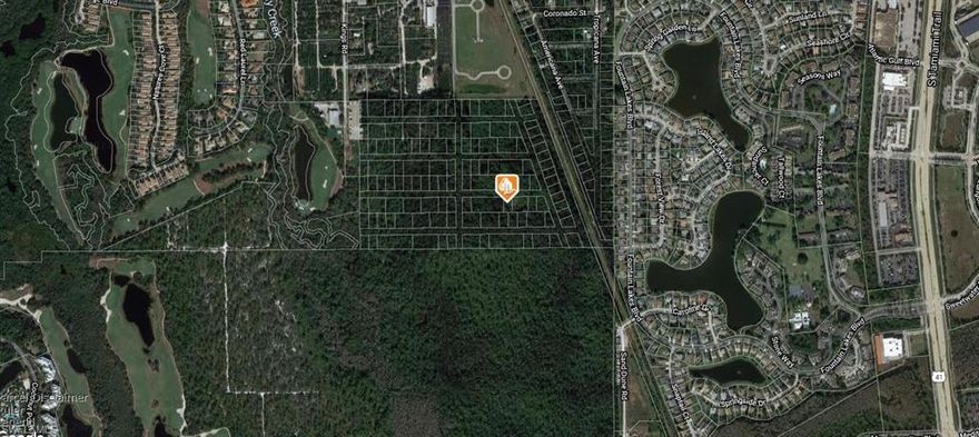 looks dry land no survey, land lock, future holds, Estero Springs area off Williams Rd, Coconut Point Mall, Hertz, no hoa, no access, as-is, buyer is due diligence