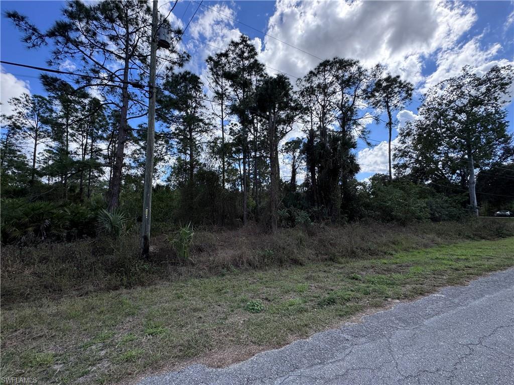 LEHIGH ESTATES - Land