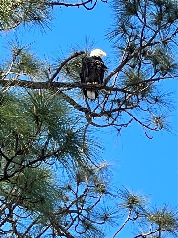 GARDEN LAKES - Residential