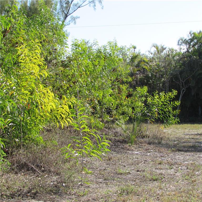 CAPTAINS COVE - Land