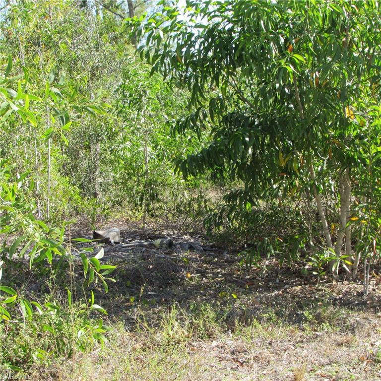 CAPTAINS COVE - Land