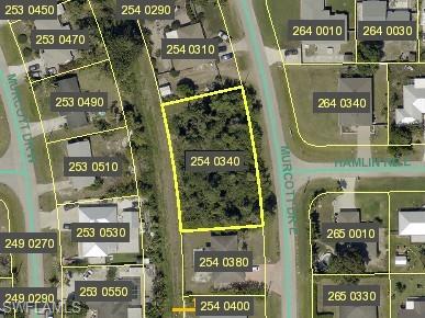 SAN CARLOS PARK - Land