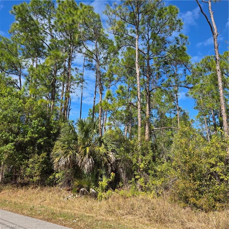 GOLDEN GATE ESTATES - Land