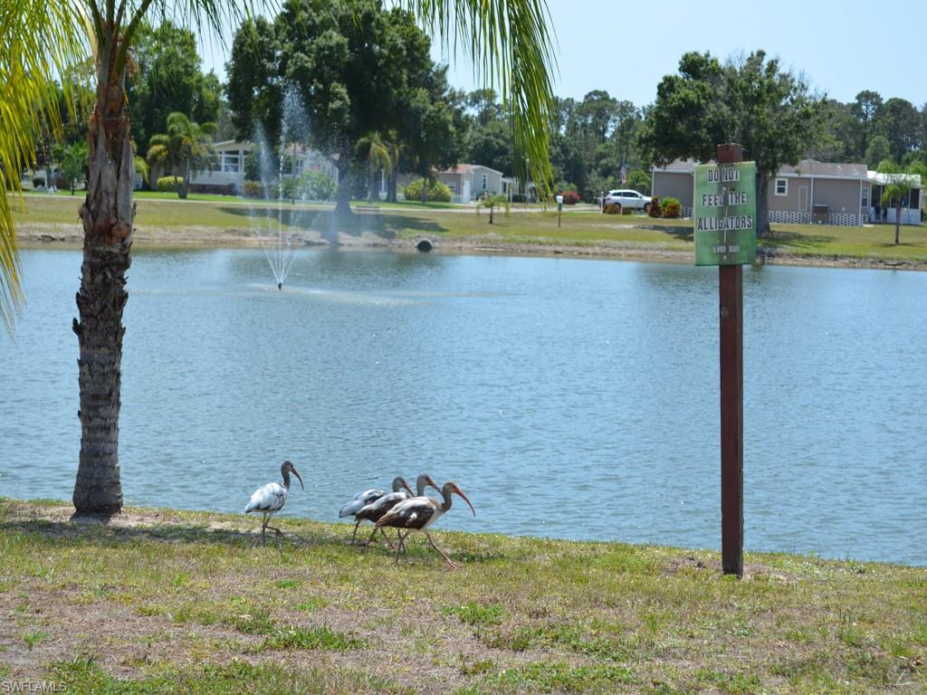 COUNTRY LAKES - Residential