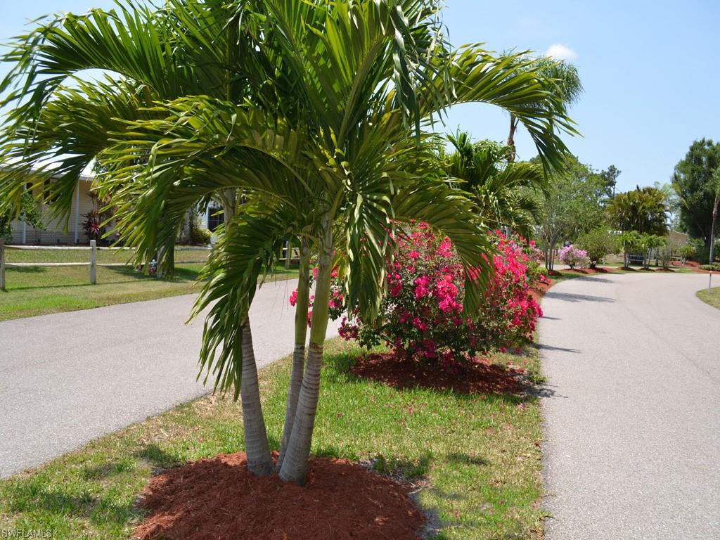 COUNTRY LAKES - Residential