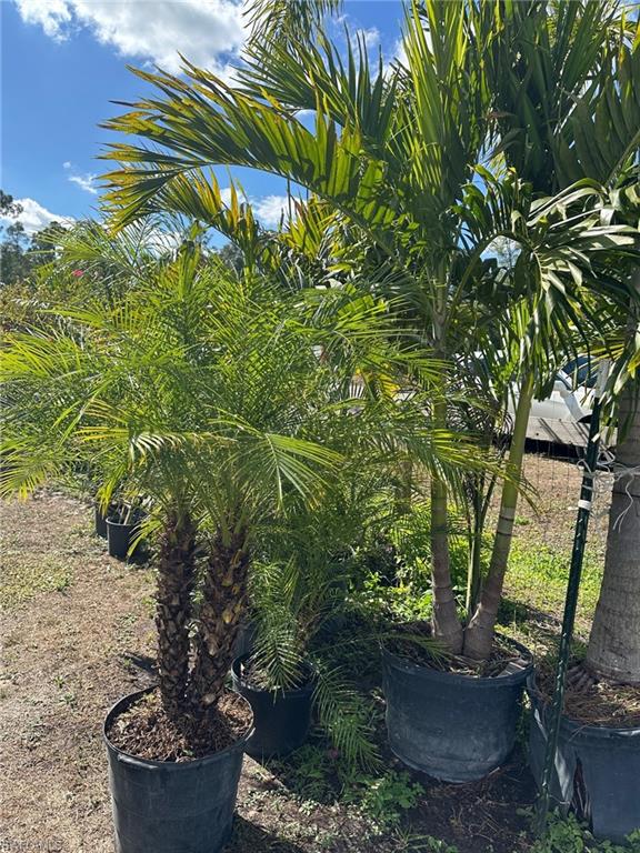 WESTWOOD ACRES - Residential